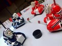 Hockey Ring