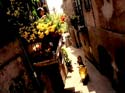 Alley