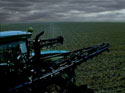 wheat stubble