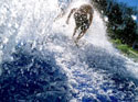 Skimboard Wave Surfing