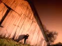 Barn